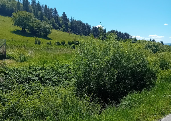 POZEMOK v obci LÚČKA na výstavbu chalupy
