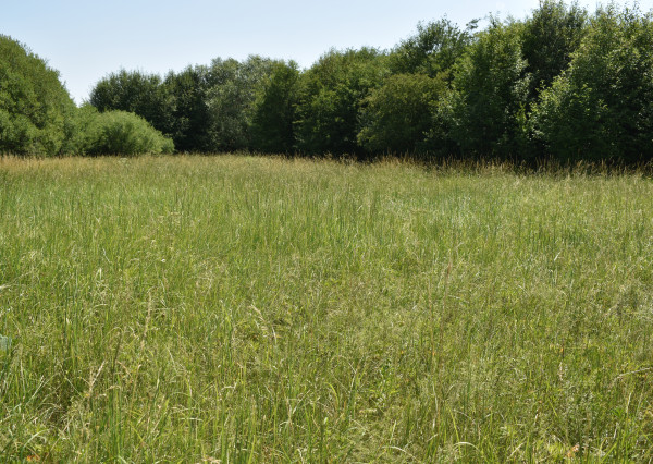 POZEMKY (5.708m2) NA PREDAJ v meste Spišská Nová Ves