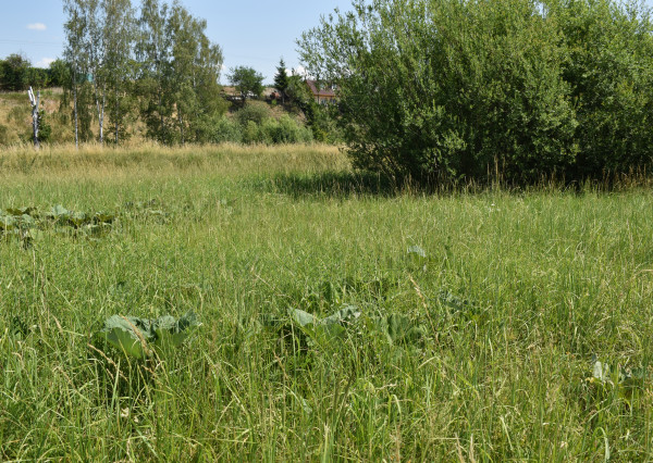 POZEMKY (5.708m2) NA PREDAJ v meste Spišská Nová Ves