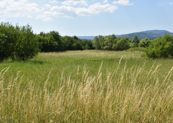 POZEMKY (5.708m2) NA PREDAJ v meste Spišská Nová Ves