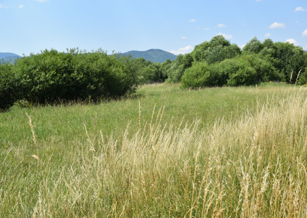 POZEMKY (5.708m2) NA PREDAJ v meste Spišská Nová Ves