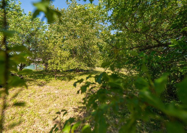 PREDAJ - pozemok vhodný na výstavbu - Klobušice, Ilava