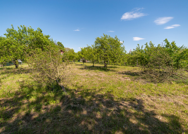 PREDAJ - pozemok vhodný na výstavbu - Klobušice, Ilava