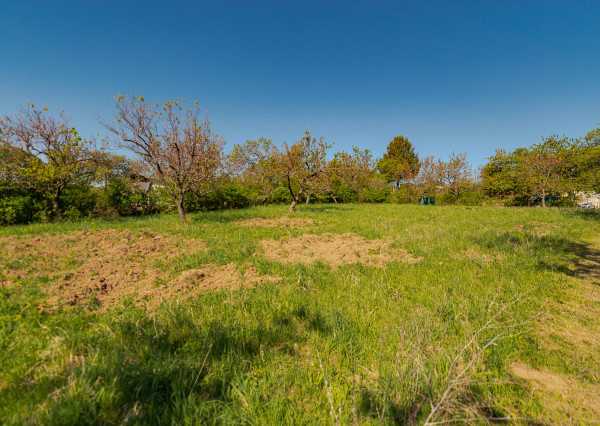 PREDAJ - pozemok (záhrada, ovocný sad), Nové Mesto nad Váhom