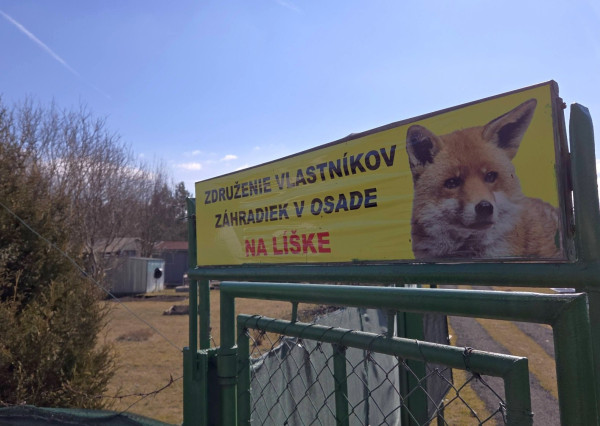 Záhradka (199m2) s chatkou v meste Spišská Nová Ves