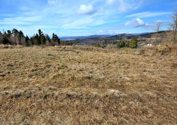 Pozemok NA PREDAJ v obci Uloža (okres Levoča) 1000m2