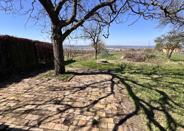 Pozemok s nádherným výhľadom na Skalicu – vinohrad s vínnym sklepom, presovňou, ovocnými stromami a možnosťou výstavby.
