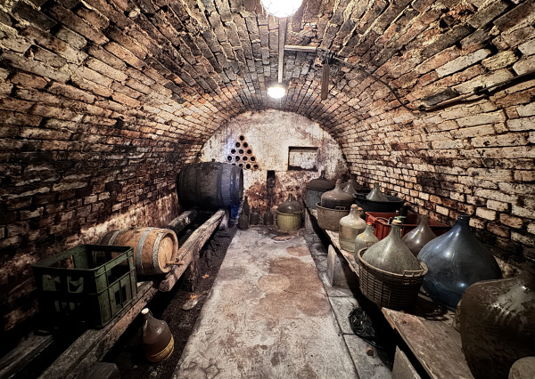 Pozemok s nádherným výhľadom na Skalicu – vinohrad s vínnym sklepom, presovňou, ovocnými stromami a možnosťou výstavby.