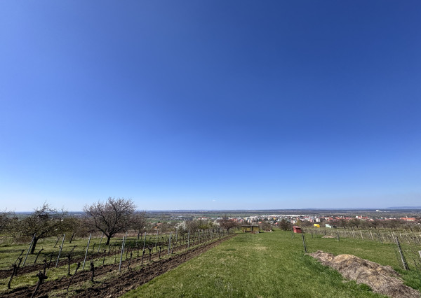 Pozemok s nádherným výhľadom na Skalicu – vinohrad s vínnym sklepom, presovňou, ovocnými stromami a možnosťou výstavby.