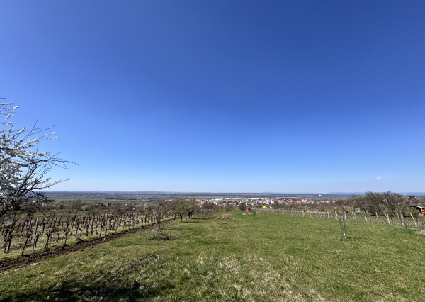 Pozemok s nádherným výhľadom na Skalicu – vinohrad s vínnym sklepom, presovňou, ovocnými stromami a možnosťou výstavby.