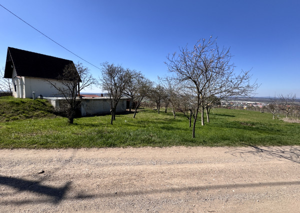 Pozemok s nádherným výhľadom na Skalicu – vinohrad s vínnym sklepom, presovňou, ovocnými stromami a možnosťou výstavby.