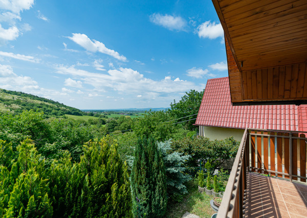 PREDANÉ 06/2025 - Rekr. chata 54m2 (1248m2) - Nová Ves n/Váhom