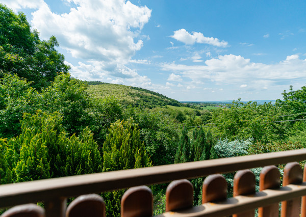 PREDANÉ 06/2025 - Rekr. chata 54m2 (1248m2) - Nová Ves n/Váhom