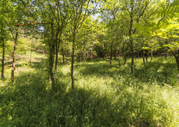 PREDANÉ 06/2025 - Rekr. chata 54m2 (1248m2) - Nová Ves n/Váhom