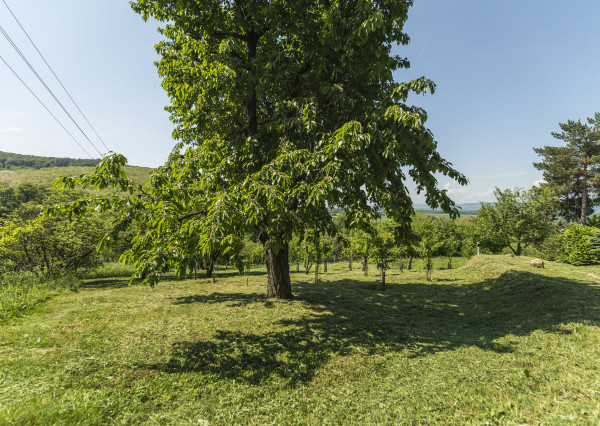 PREDANÉ 06/2025 - Rekr. chata 54m2 (1248m2) - Nová Ves n/Váhom