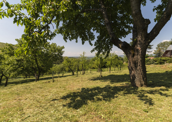 PREDANÉ 06/2025 - Rekr. chata 54m2 (1248m2) - Nová Ves n/Váhom