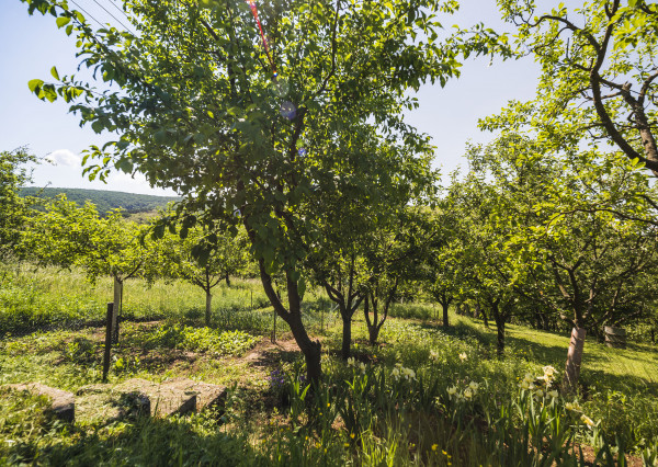 PREDANÉ 06/2025 - Rekr. chata 54m2 (1248m2) - Nová Ves n/Váhom