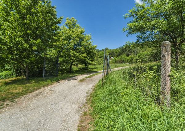 PREDANÉ 06/2025 - Rekr. chata 54m2 (1248m2) - Nová Ves n/Váhom