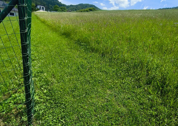 NA PREDAJ pozemok  (1.258m2) v meste Krompachy