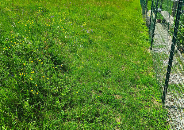 NA PREDAJ pozemok  (1.258m2) v meste Krompachy