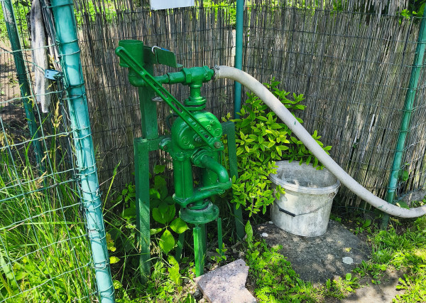 Záhradka (199m2) s chatkou v meste Spišská Nová Ves