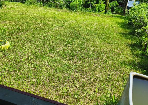 Záhradka (199m2) s chatkou v meste Spišská Nová Ves