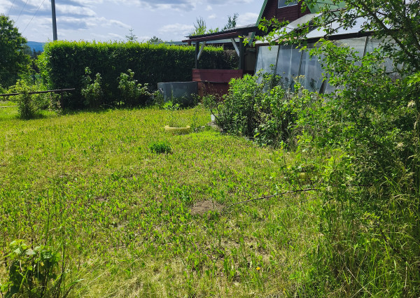 Záhradka (199m2) s chatkou v meste Spišská Nová Ves