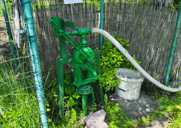 Záhradka na PREDAJ v meste Spišská Nová Ves