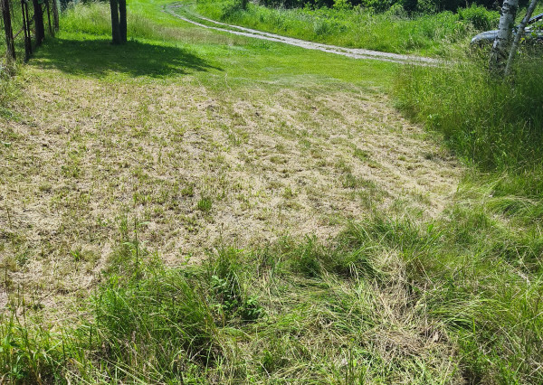 Záhradka na PREDAJ v meste Spišská Nová Ves