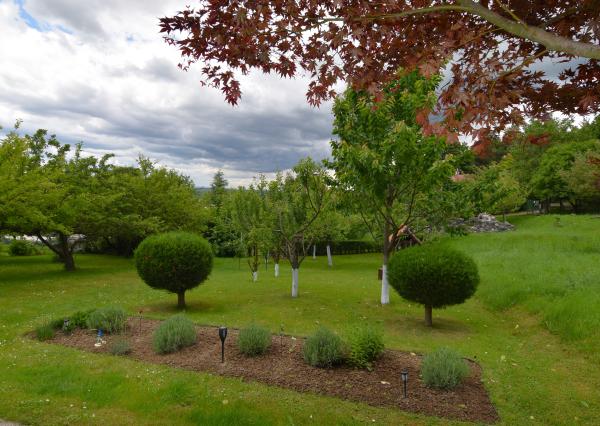 Na predaj rekreačná chata v obci Sološnica