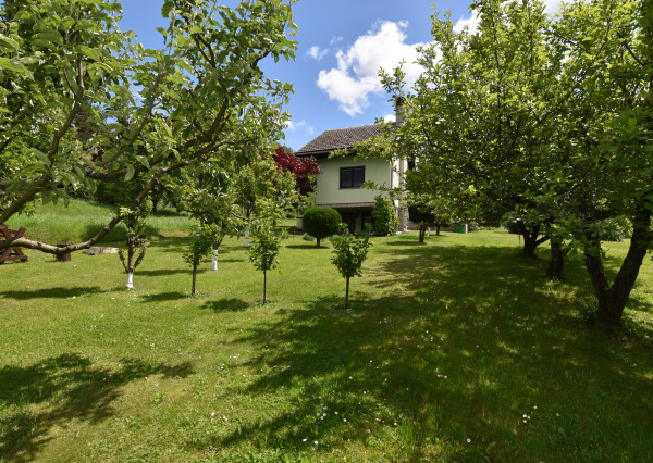 Na predaj rekreačná chata v obci Sološnica