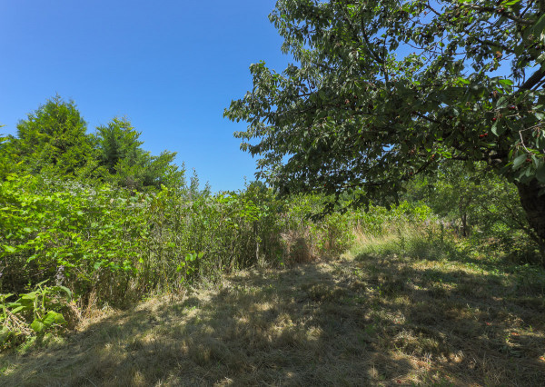 Rodinný dom v obci Dolný Ohaj s pivnicou a veľkou záhradou