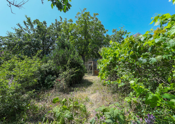 Rodinný dom v obci Dolný Ohaj s pivnicou a veľkou záhradou