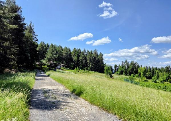 Pozemok NA PREDAJ v obci Uloža (okres Levoča) 1000m2