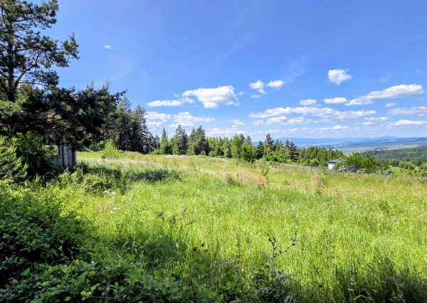 Pozemok NA PREDAJ v obci Uloža (okres Levoča) 1000m2