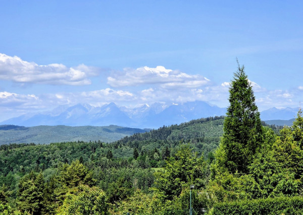 Pozemok NA PREDAJ v obci Uloža (okres Levoča) 1000m2