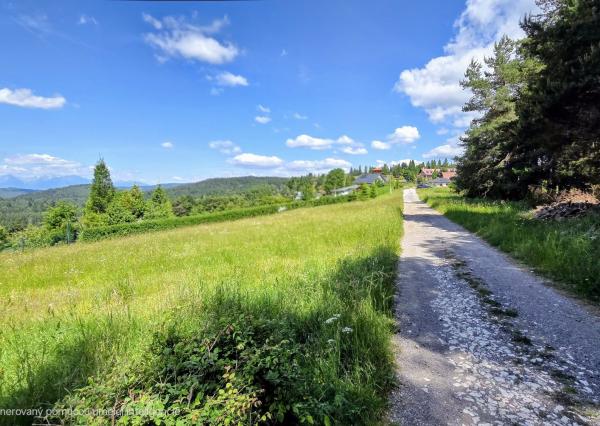 Pozemok NA PREDAJ v obci Uloža (okres Levoča) 1000m2