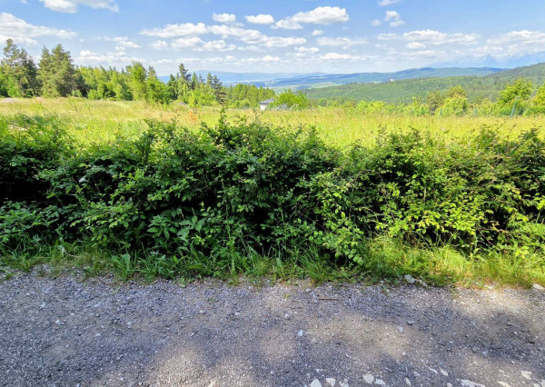 Pozemok NA PREDAJ v obci Uloža (okres Levoča) 1000m2