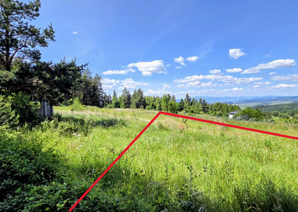 Pozemok NA PREDAJ v obci Uloža (okres Levoča) 1000m2