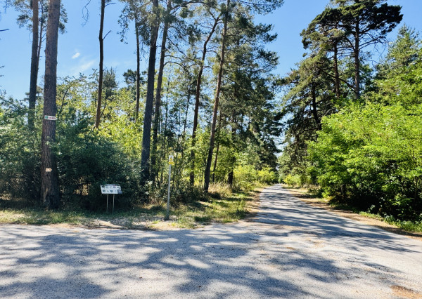 Na predaj 3-izbový rodinný dom – Gbely, časť Farské, okr. SKALICA.