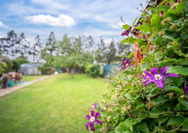 PREDAJ rodinného domu s penziónom,Trebatice, 5min od Piešťan