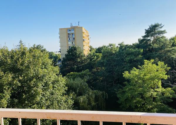 Na prenájom zrekonštruovaný 3-izbový byt v Dunajskej Strede