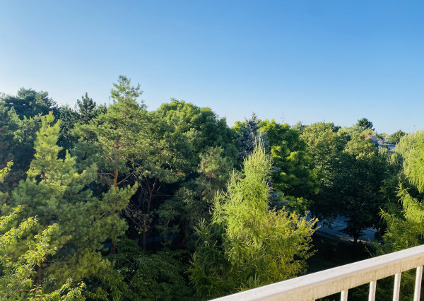 Na prenájom zrekonštruovaný 3-izbový byt v Dunajskej Strede