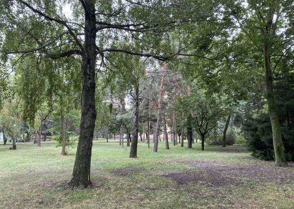 Na prenájom zrekonštruovaný 3-izbový byt v Dunajskej Strede