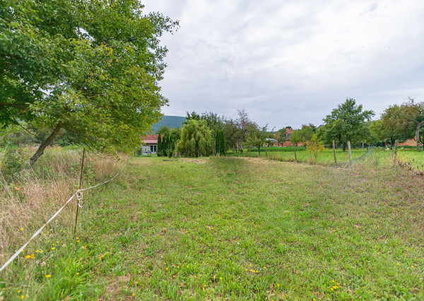 🏡 PREDAJ rodinného domu s veľkým pozemkom – Hrušové