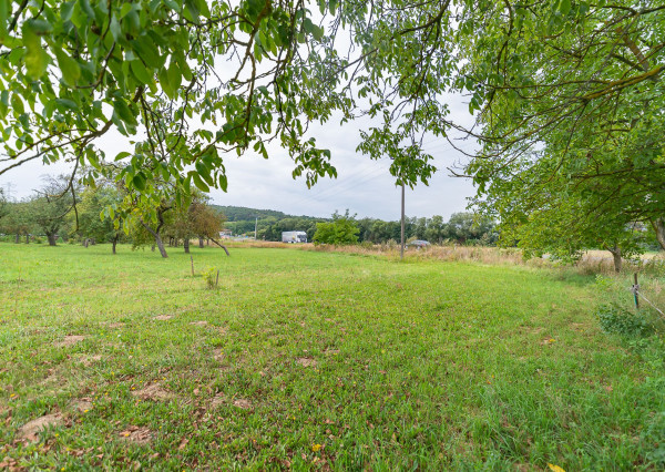 🏡 PREDAJ rodinného domu s veľkým pozemkom – Hrušové