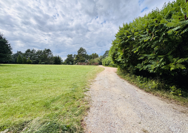 Na predaj rekreačná chata v srdci Skalických hôr .