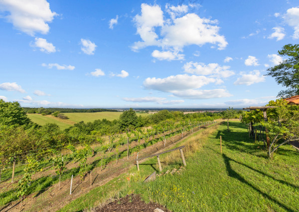 Na predaj váš súkromný kúsok vinohradníckeho raja