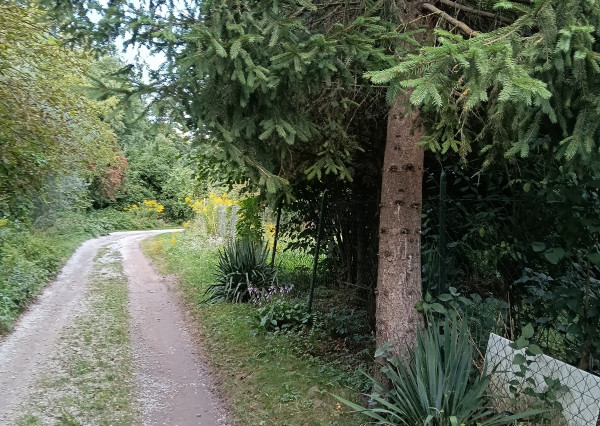 PREDAJ záhrady za Ťahanovským tunelom s chatkou