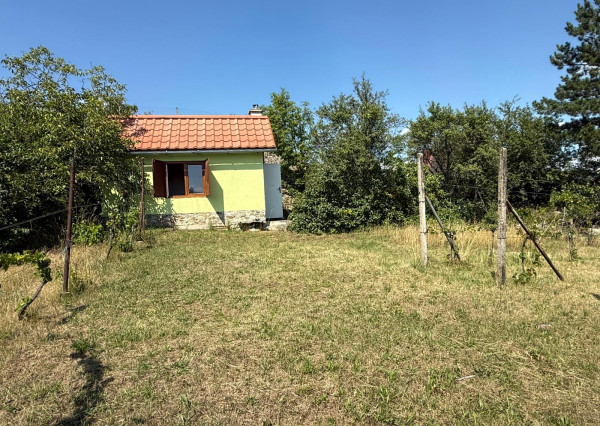 Romantická záhrada s panoramatickým výhľadom na Modru 🌿